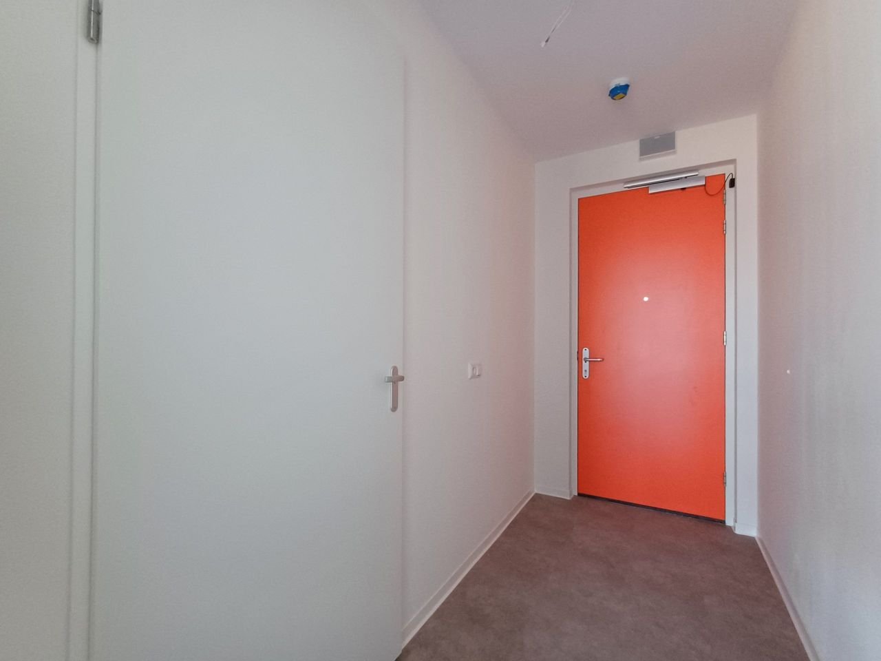 Nieuwe studio naast Philips Stadion - Afbeelding 2