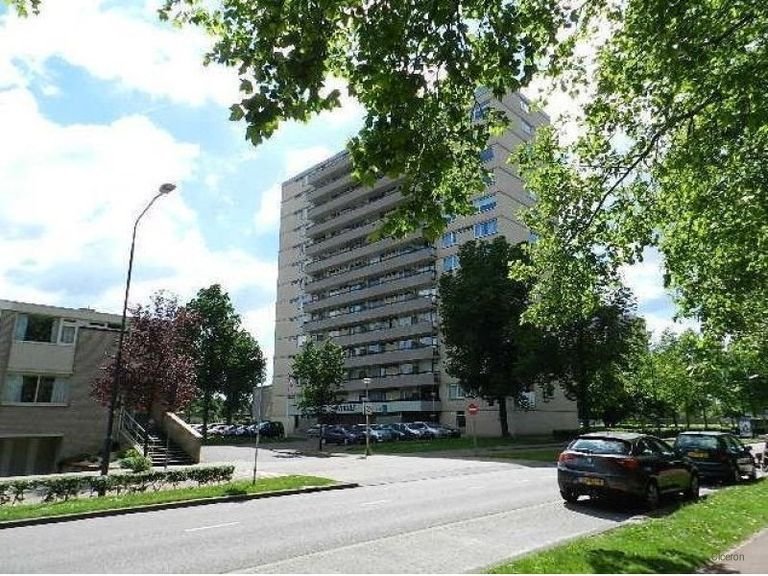 Ruim appartement aan de Ovidiuslaan - Afbeelding 6