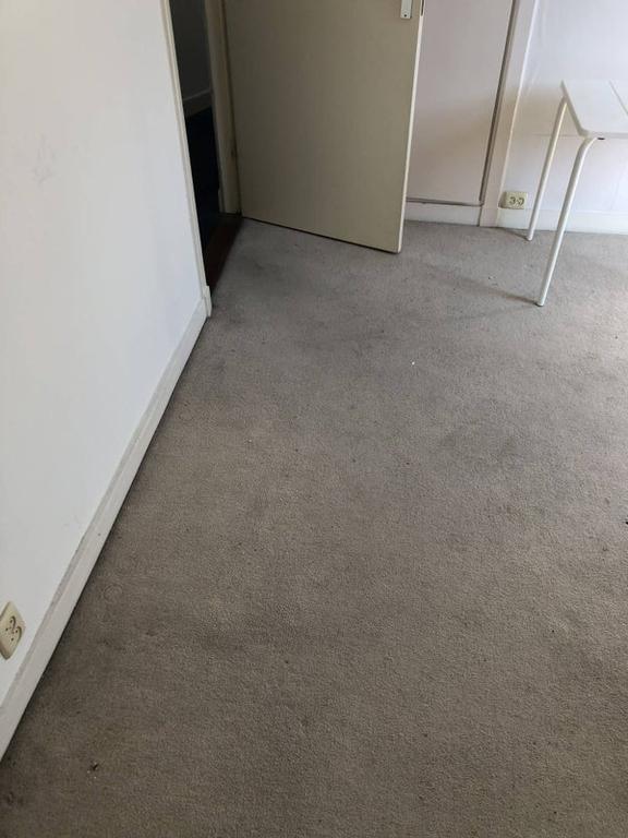 Room near the beach in Scheveningen - Image 12