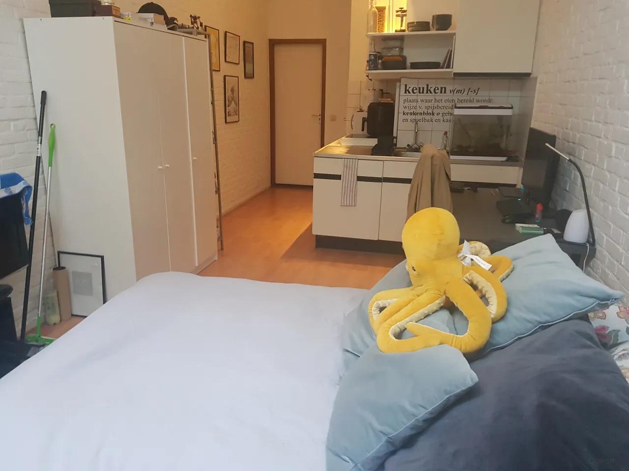 Studio with private kitchen in Wyck - Image 1