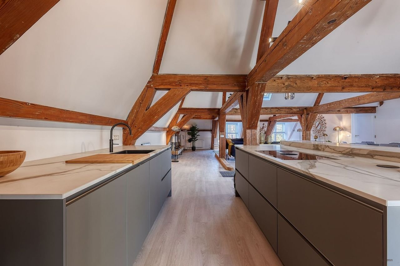 Historisch penthouse (200 m²) aan het Malieveld - Afbeelding 15