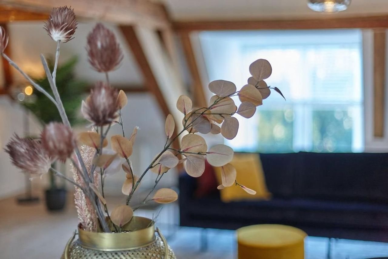 Historisch penthouse (200 m²) aan het Malieveld - Afbeelding 8