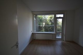 14 m² room with shared garden in Blijdorp - Image 2