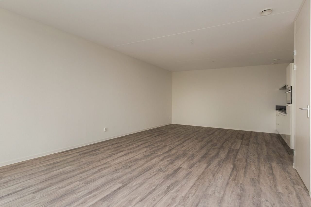 Modern wonen aan de Maashaven - Afbeelding 5