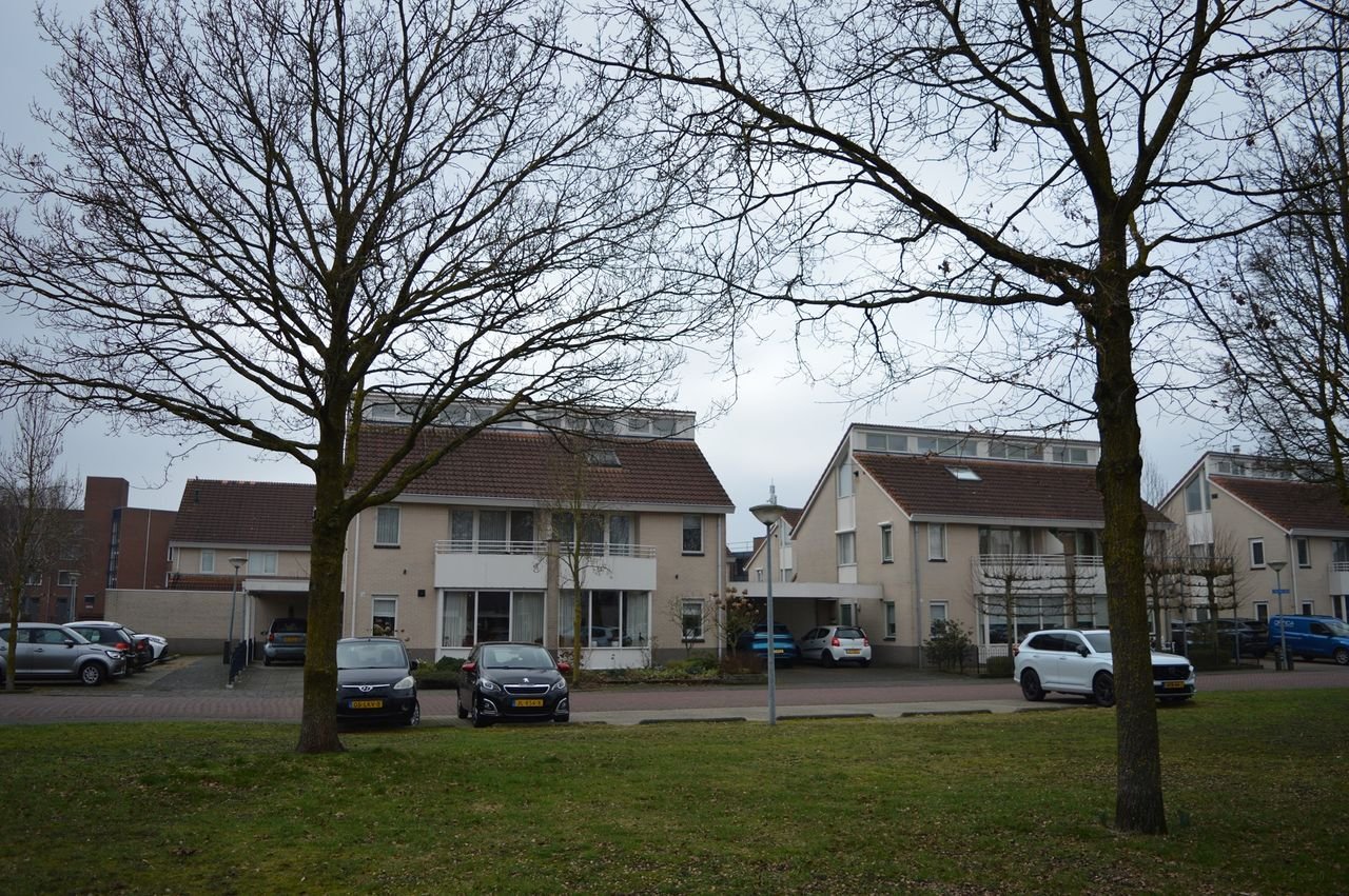 Royale tweekapper met zonnige tuin - Afbeelding 2