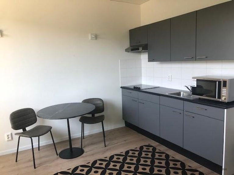 Gemeubileerd 2-kamerappartement in hart Den Haag - Afbeelding 4