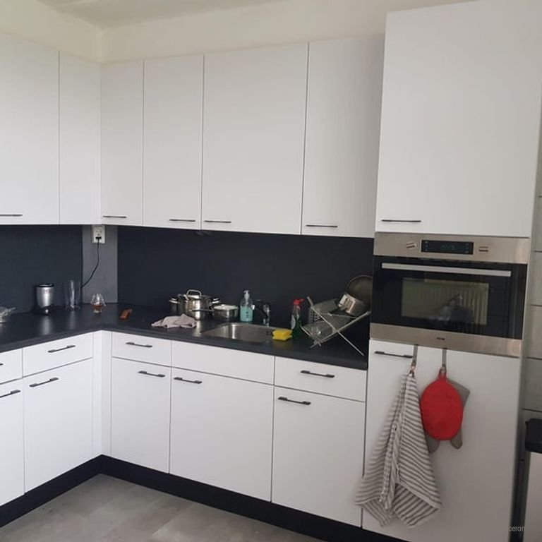 Two bright rooms in leafy Groenekan - Image 6