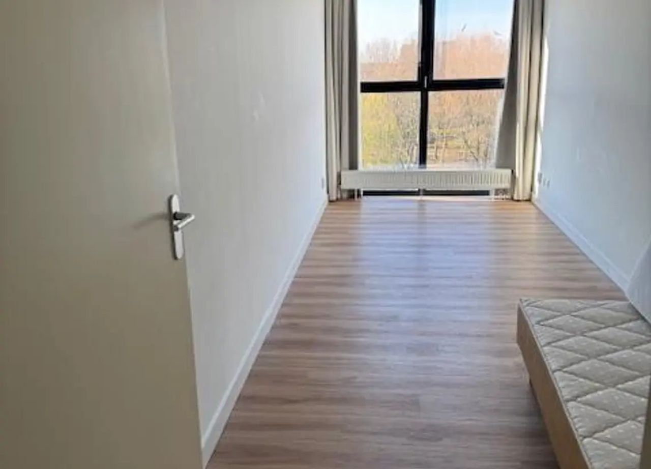Riant appartement (187 m²) bij het Griftpark - Afbeelding 12