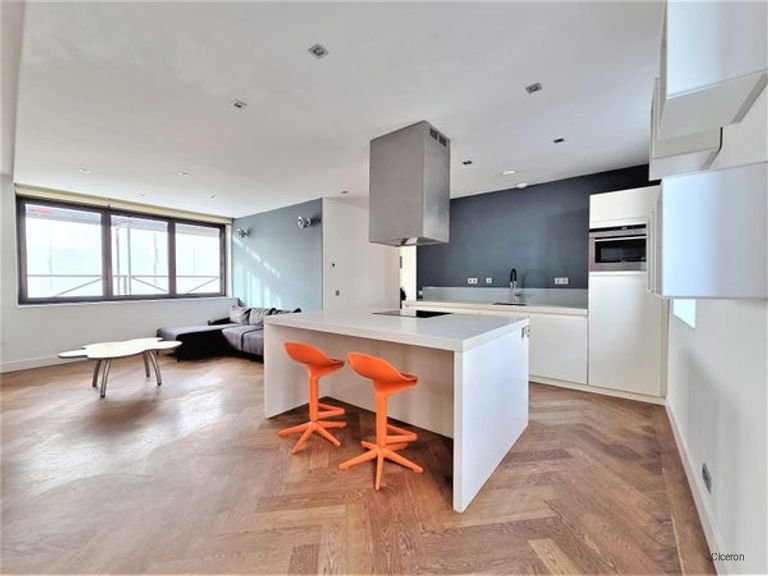 Spacious IJburg apartment including garage - Image 4