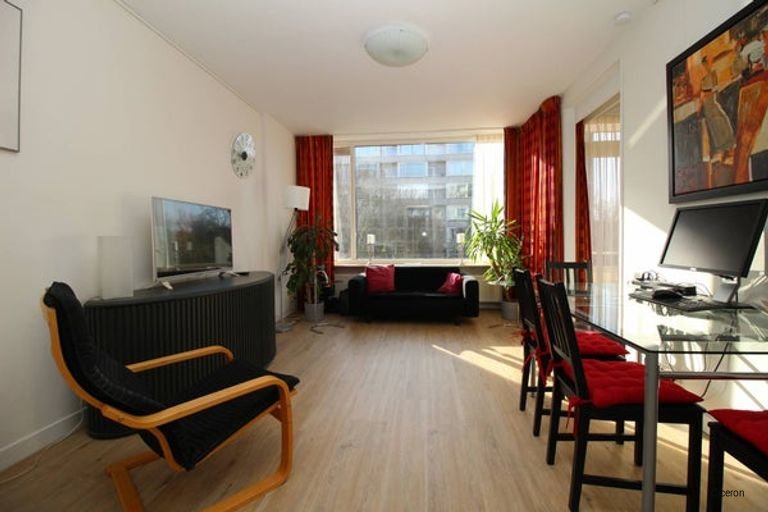 Furnished apartment with balcony near Clingendael - Image 1
