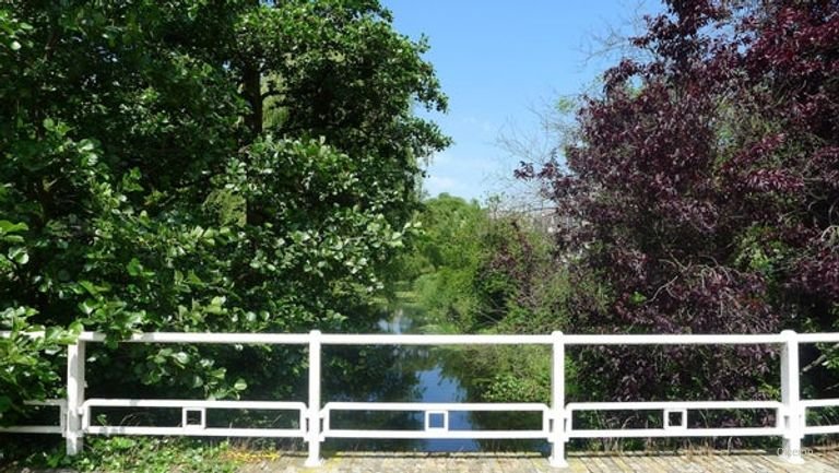 Furnished apartment with balcony near Clingendael - Image 11