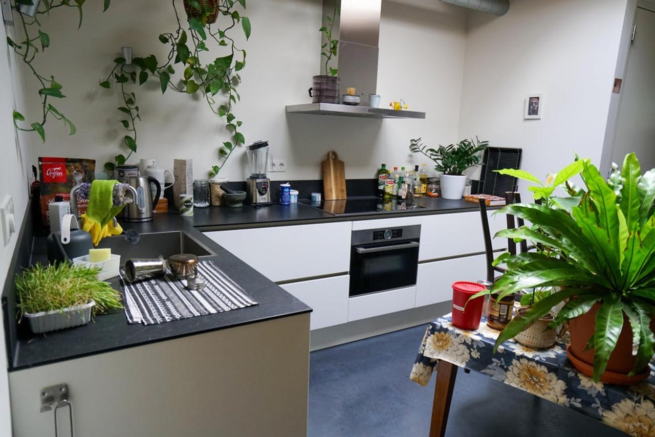 60 m² woning met tuin en parkeerplek - Afbeelding 8