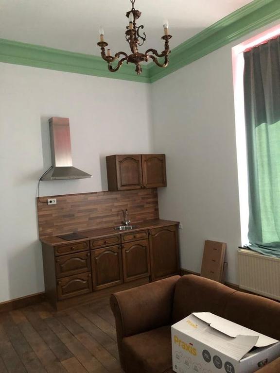 Renovated studio with garden in Amby - Image 7