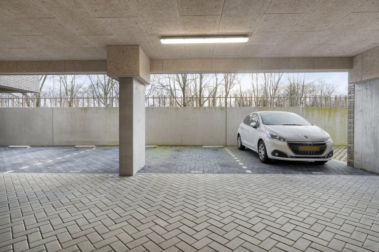 Sustainable living on the sixth floor - Image 22