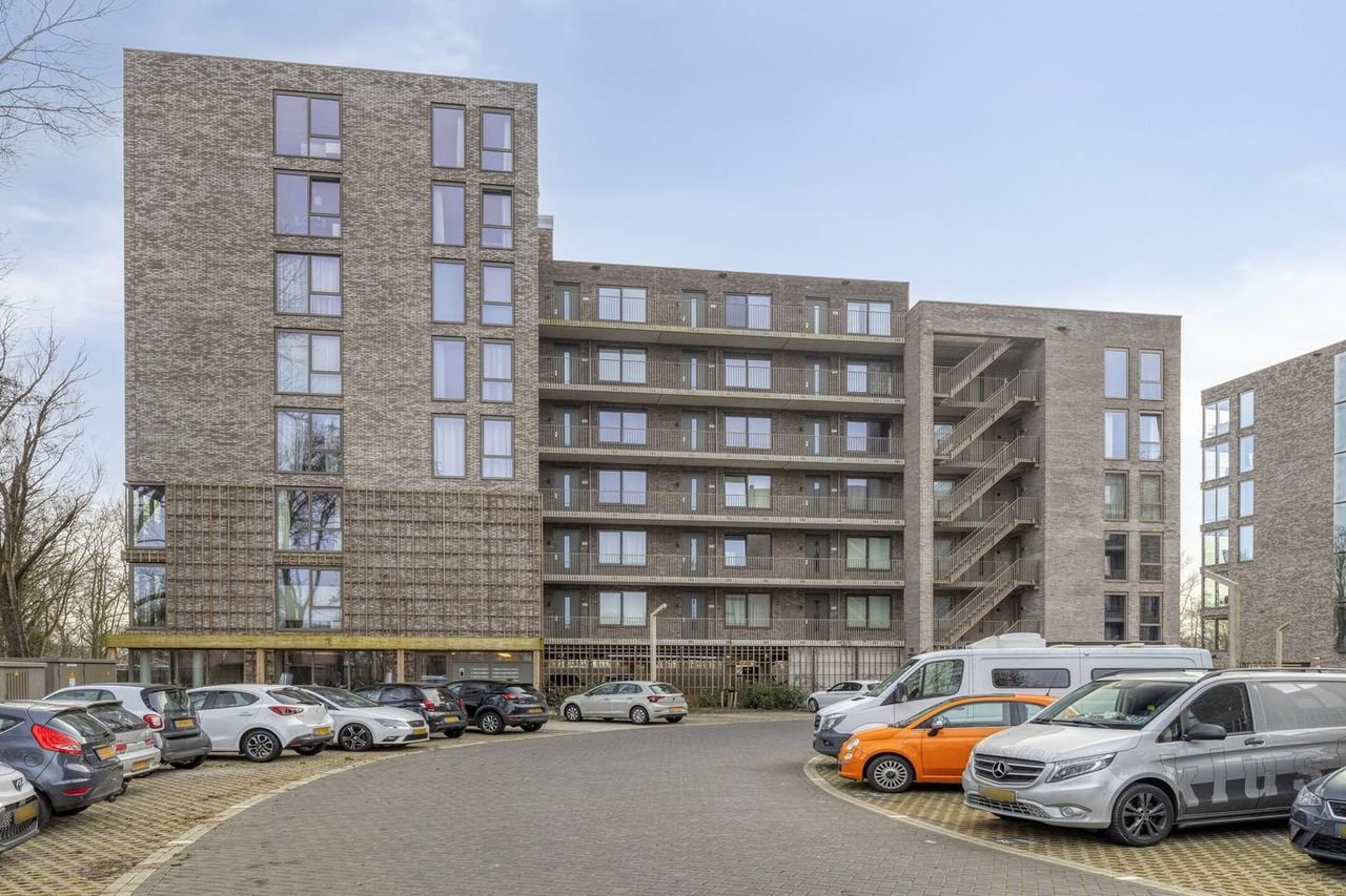 Sustainable living on the sixth floor - Image 5