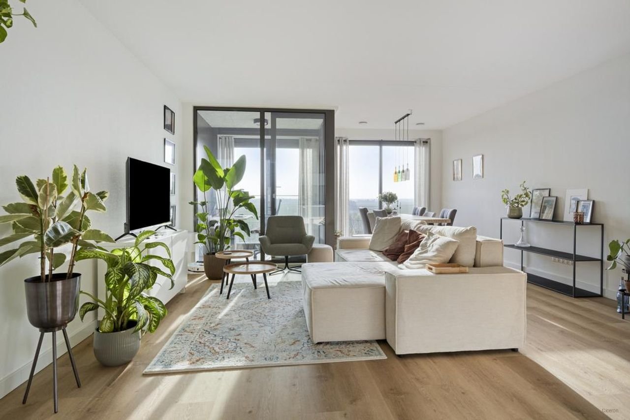 Sustainable living on the sixth floor - Image 2