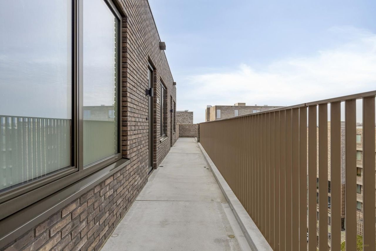 Sustainable living on the sixth floor - Image 6