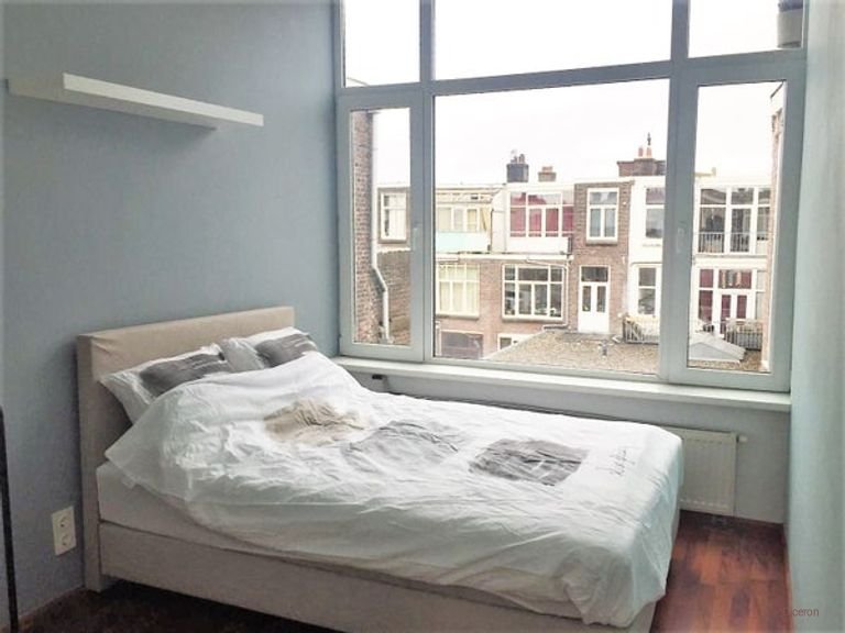 Licht appartement in Valkenboskwartier - Afbeelding 6