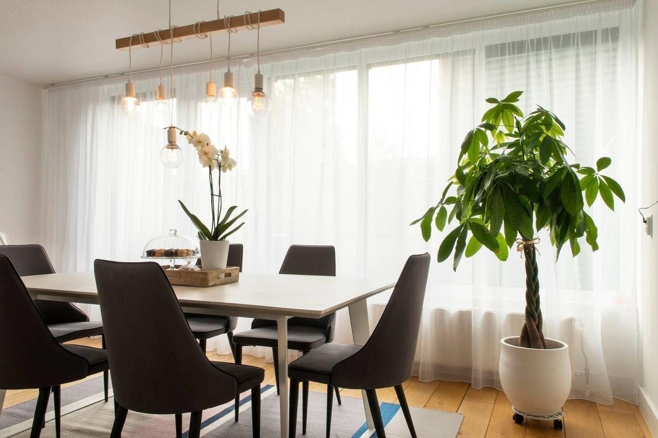 Spacious apartment with terrace and parking - Image 14