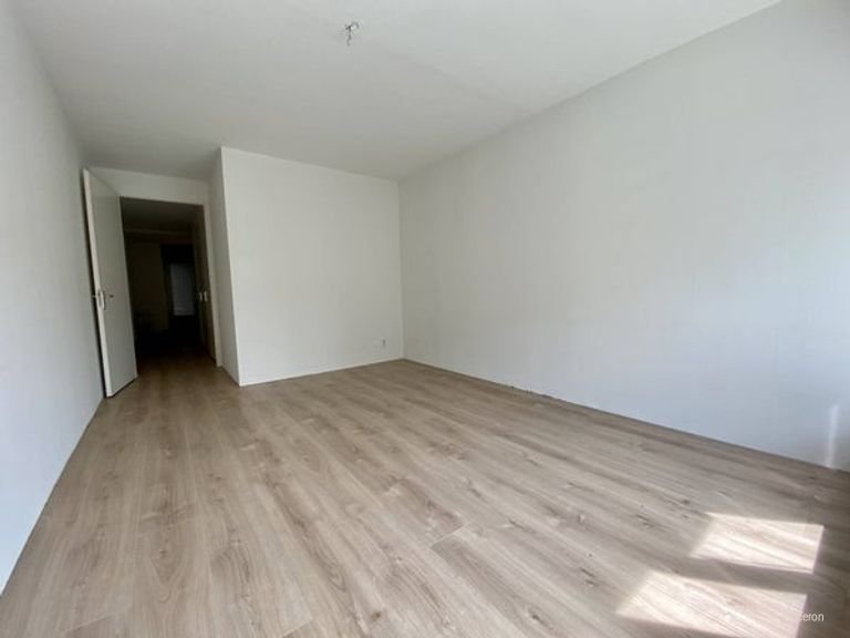 Royaal wonen in oude Artifort-fabriek - Afbeelding 6