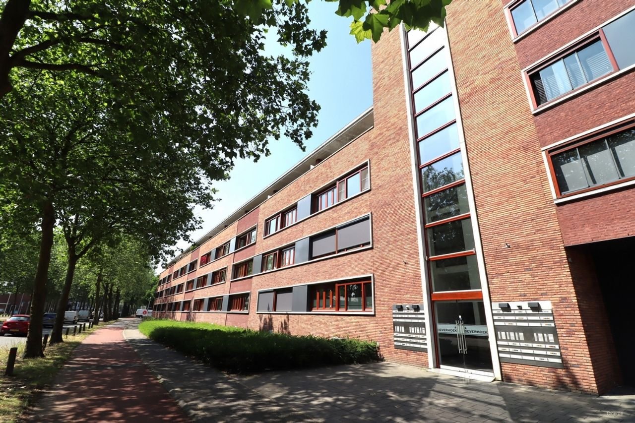 Bright apartment with private parking - Image 19