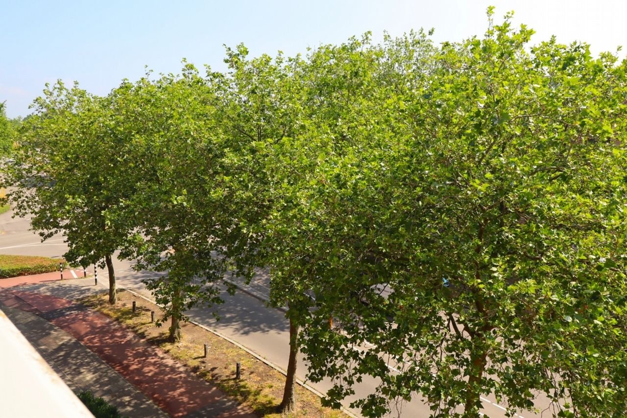 Bright apartment with private parking - Image 20