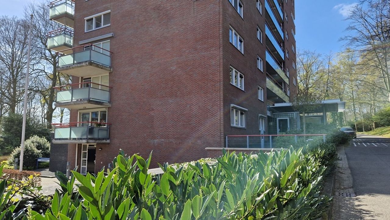 Corner apartment with parking space near Mariëndaal - Image 13