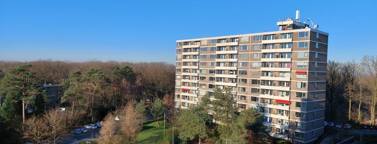 2-bedroom apartment surrounded by greenery - Image 2