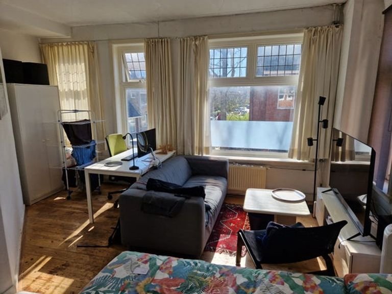 Lichte kamer (18m²) in Rivierenbuurt - Afbeelding 2