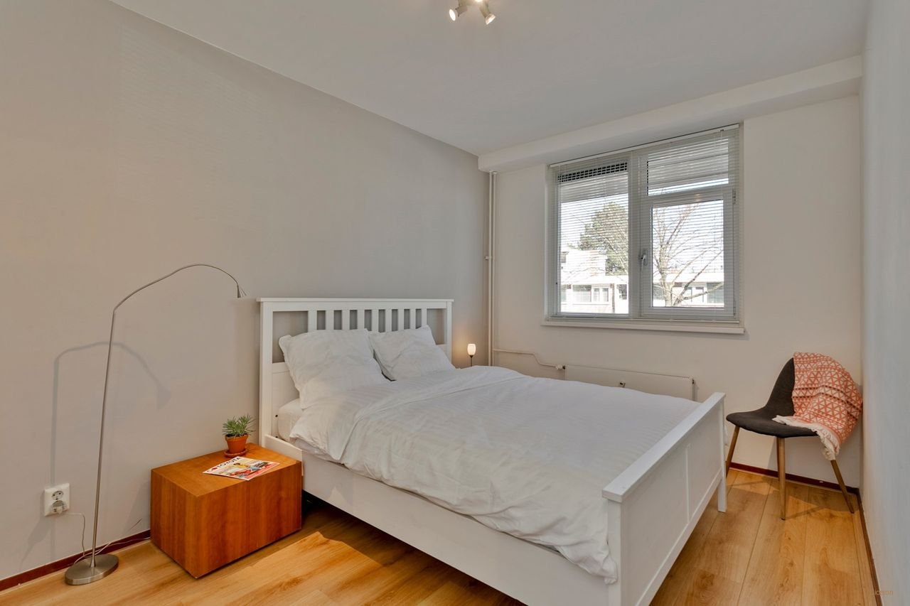 Spacious living next to the Amsterdamse Bos - Image 11