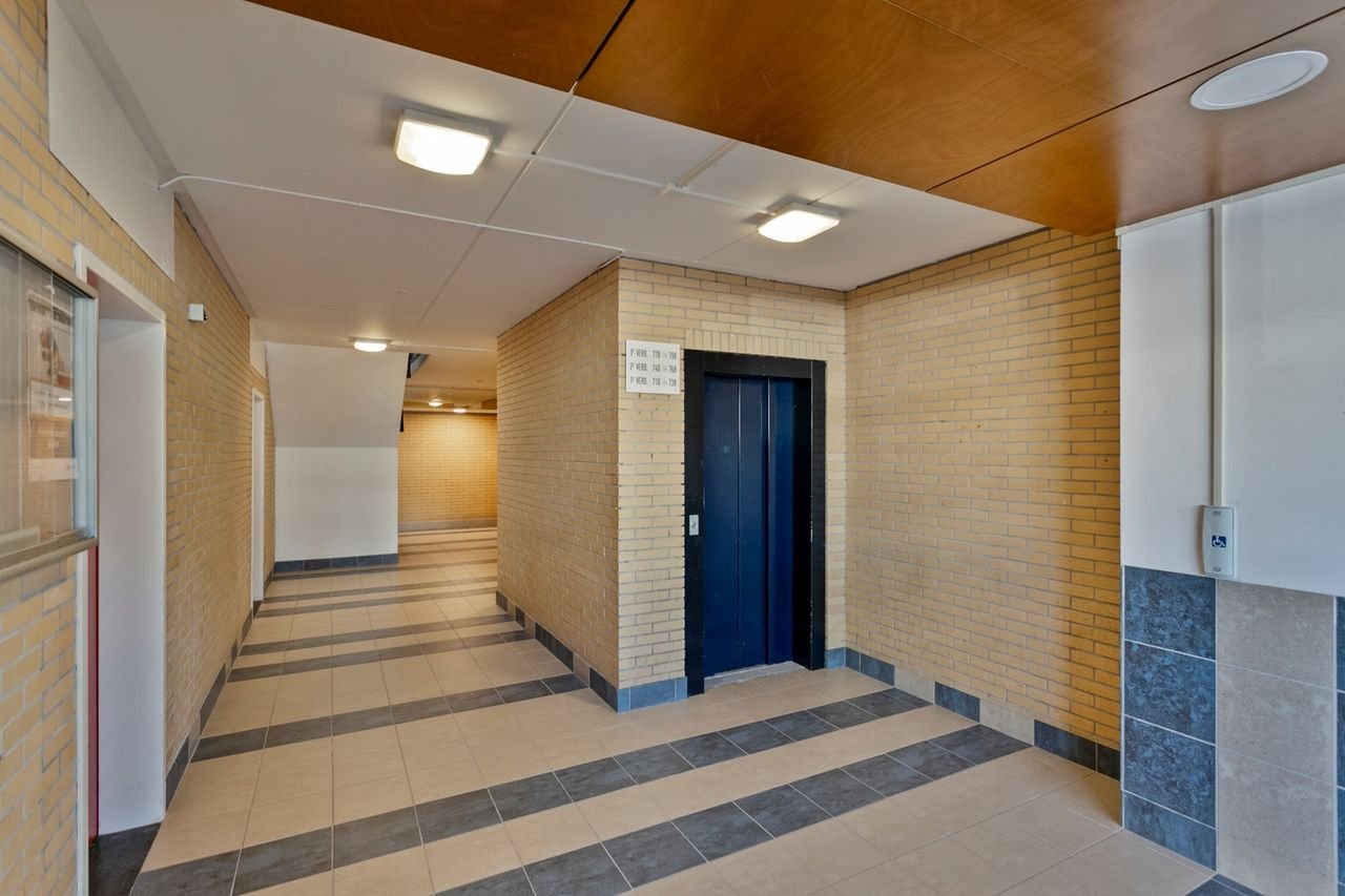 Spacious living next to the Amsterdamse Bos - Image 5