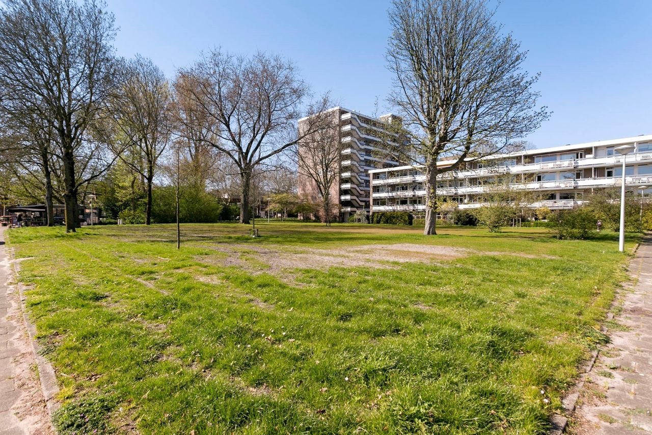 Spacious living next to the Amsterdamse Bos - Image 20
