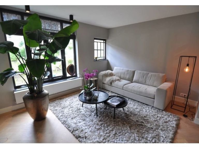 Renovated ground-floor apartment with deep garden - Image 10