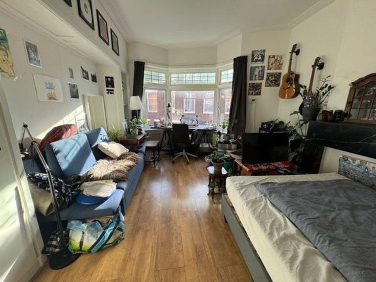 Lichte kamer in de Schildersbuurt - Afbeelding 1