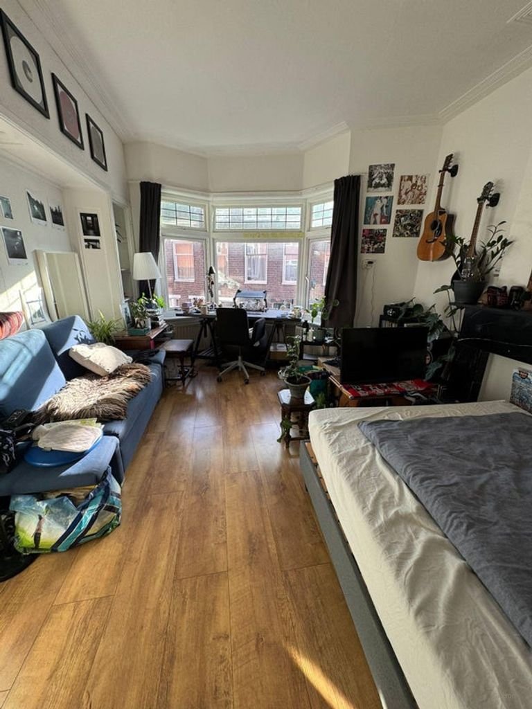 Lichte kamer in de Schildersbuurt - Afbeelding 2