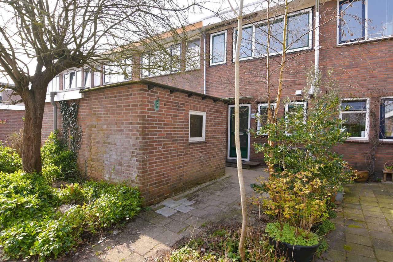 Huis met tuin en energielabel A in Noord - Afbeelding 1