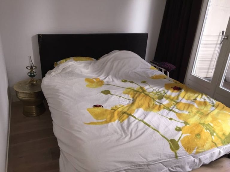 Grachtzicht, terras en energielabel A++ - Afbeelding 8