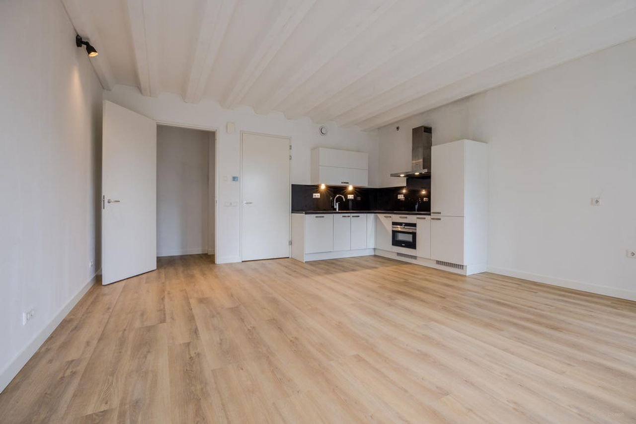 Ruim appartement met terras in de Binckhorst - Afbeelding 36