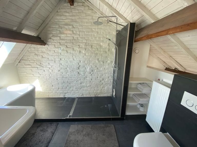 Loft in Wyck met dakterras en Maaszicht - Afbeelding 13