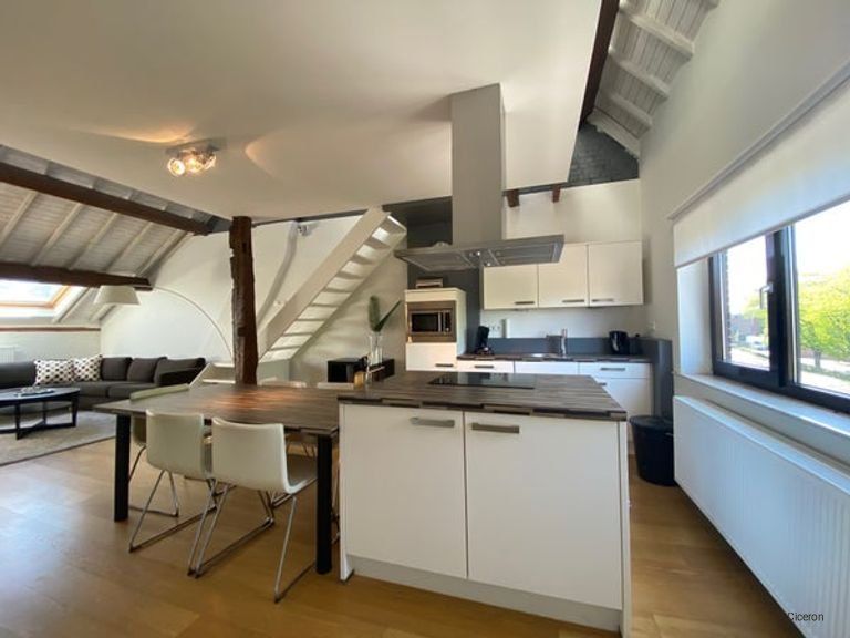 Loft in Wyck met dakterras en Maaszicht - Afbeelding 7