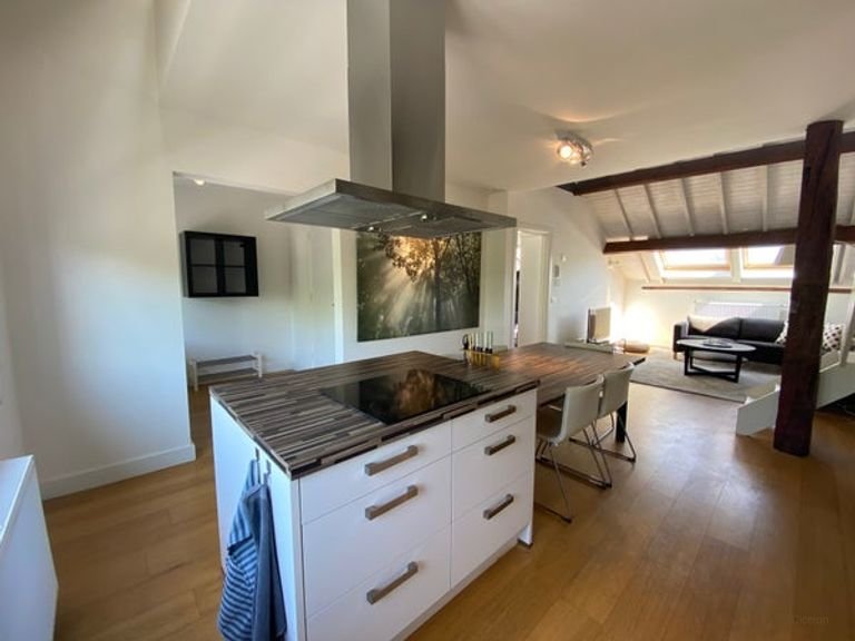 Loft in Wyck met dakterras en Maaszicht - Afbeelding 8