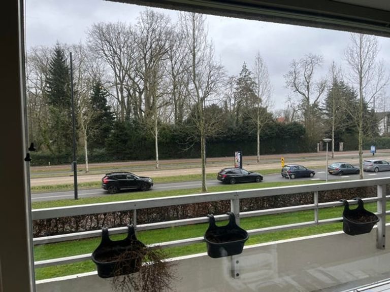 Comfortable 55+ living near Genneper Parken - Image 5