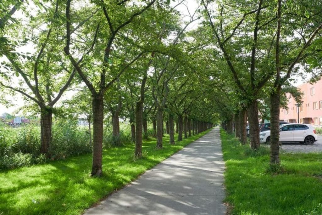 Studio with private garden in the Regenboogbuurt - Image 2