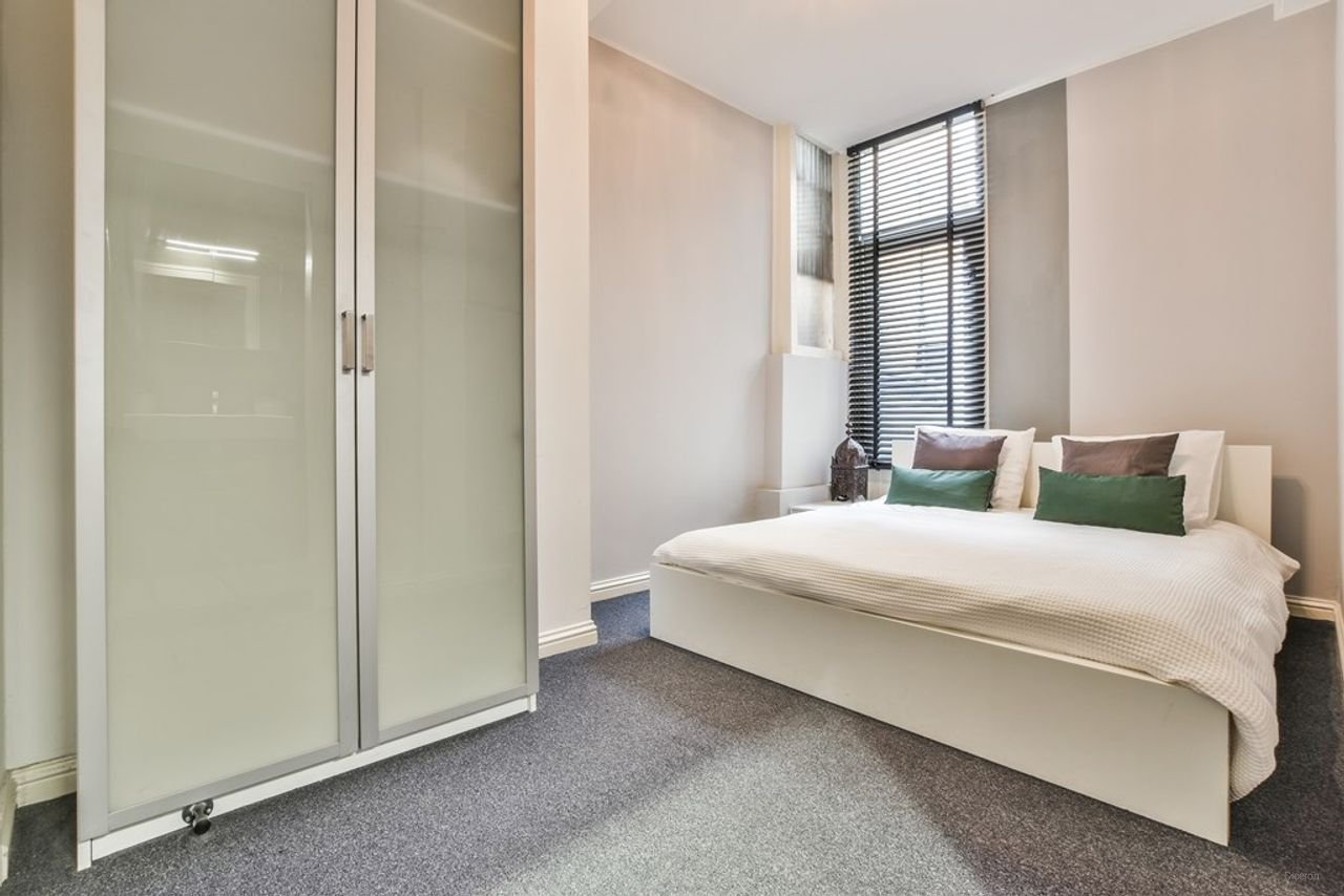 Grachtzicht en dakterras op de Singel - Afbeelding 11