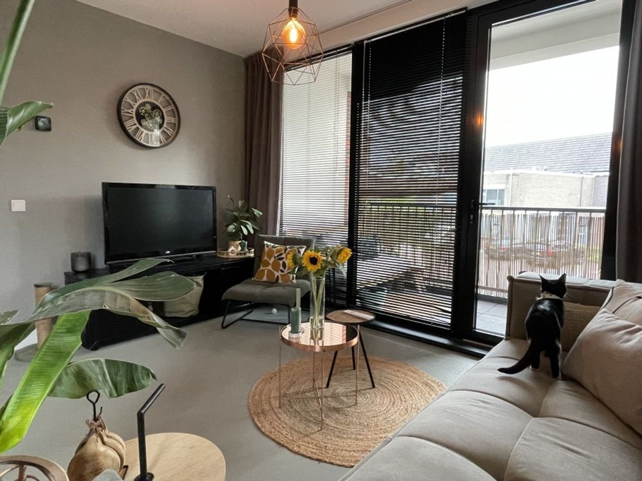 Duurzaam wonen in centrum Meppel - Afbeelding 3