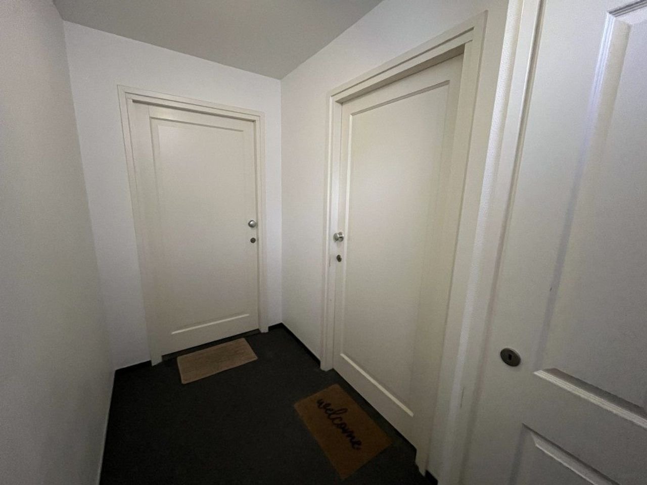 Renovated ground-floor apartment with energy label A - Image 4