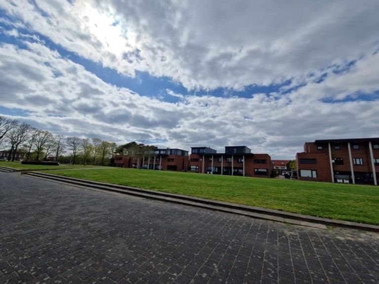 Licht huis met tuin in Het Broek - Afbeelding 4