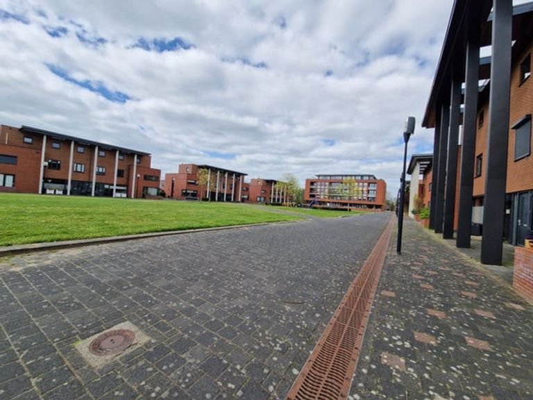 Licht huis met tuin in Het Broek - Afbeelding 3