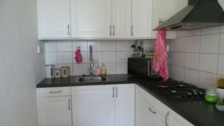 Gemeubileerd appartement met groen uitzicht - Afbeelding 2