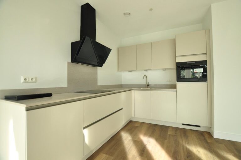 Sustainable living on the Van Brakelstraat - Image 5